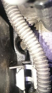 1.9 TDI BLS Engine: Identifying Oil Leak Sources - Turbo, Intercooler, Valve Cover & Solutions 1.9 TDI BLS Engine: Identifying Oil Leak Sources - Turbo, Intercooler, Valve Cover & Solutions