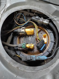 Citroen C5 ll 2007: Jak zdjąć węże z białą i zieloną zapadką od pompy paliwa?