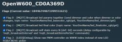 OpenW600 settings screen with selected flags