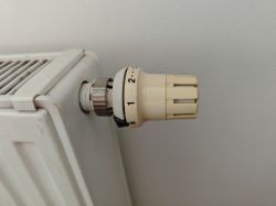 Thermostatic valve head on a radiator.