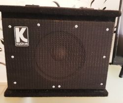 Identyfikacja sprzętu: Subwoofer czy wzmacniacz do gitary? Ilość WAT, zastosowanie
