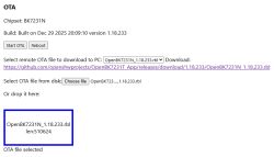 OTA interface with selected file OpenBK7231N_1.18.233.rbl for upgrade