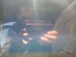 Emulacja sondy Vectra b 2.0 - Ustawienie emulacji sondy i parametry