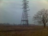 Pole elektomagnetyczne z sieci przesyłowej 110kV