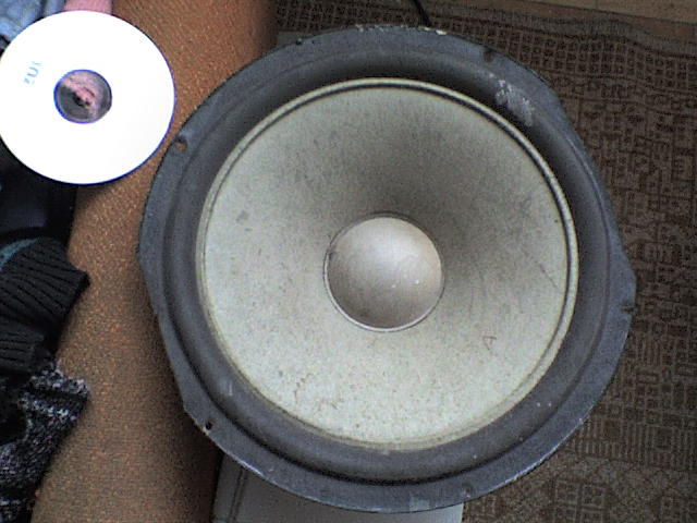 Jaki to głosnik - model - parametry? Tonsil?