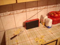 Budowa cyfrowego radia z DMT-2000 i TDA1220B - porady i komponenty