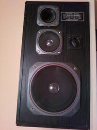 Identyfikacja kolumn unitra