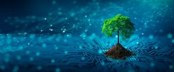 Power Semiconductors in Energy Conversion: Role in Achieving a Greener Future