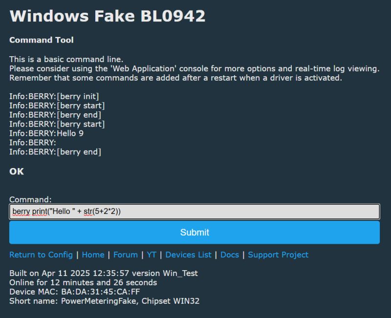Windows Fake BL0942 Interface with Berry Commands Screenshot of the Windows Fake BL0942 interface with Berry commands.