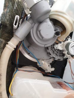 Bosch SMV50E70EU/65 - Nie podgrzewa wody po wymianie grzałki