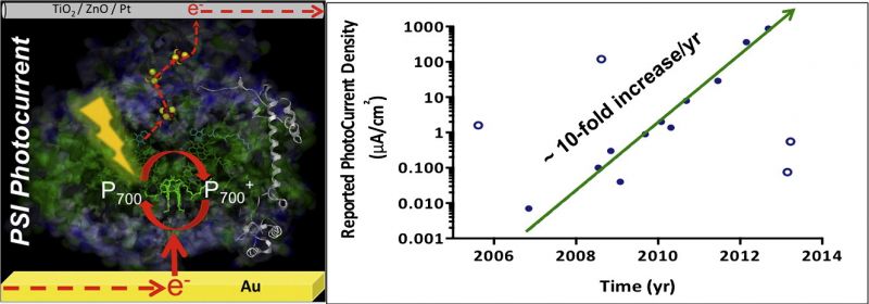 Zbieranie energii z otoczenia kluczowym aspektem energetyki przyszłości