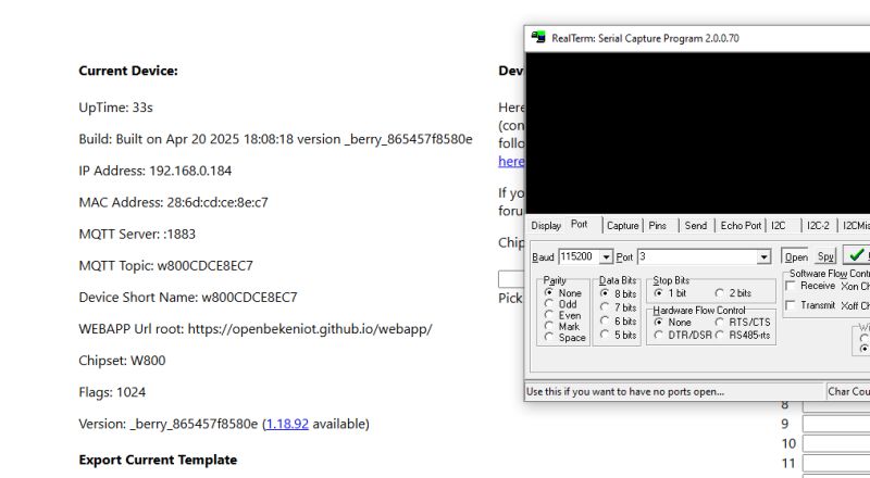 Screenshot showing W800 device info and an open RealTerm program window.