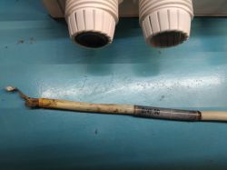 Jaki czujnik zanurzeniowy pasuje do sterownika basenowego BaduTec BNR55?