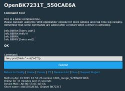 Command tool with berry print command and results.