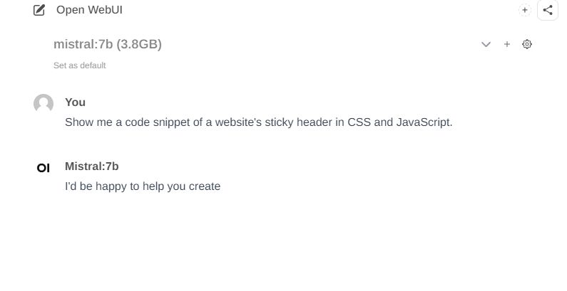 Open WebUI Interface with Code Query Open WebUI user interface with a query about CSS and JavaScript code.
