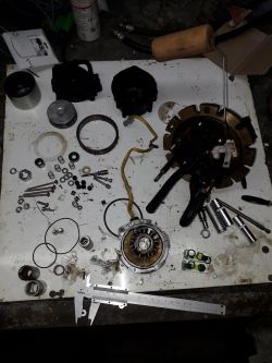 Vialle regeneracja pompy nowy typ łożysko standardowe.