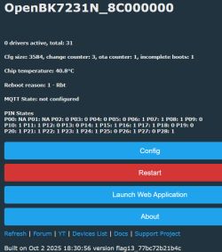 OpenBeken Flag 13: How to View Real-Time GPIO States for Unconfigured Pins?