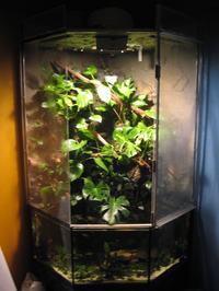 Zautomatyzowana komora dla roślin