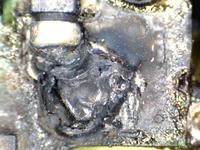 Laptop HP nx8220 - spalona część bloku zasilania. Laptop HP nx8220 - spalona część bloku zasilania.
