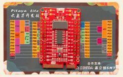 Płyta DshanMCU Pitaya Lite z mikrokontrolerem MM32 ARM Cortex-M3