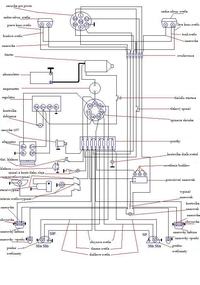 Zetor 5711 - podłączenie regulatora do alternatora