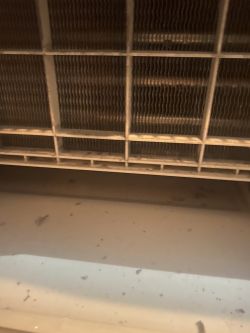 Bosch WTX87K40PL dryer - Wet lint and water accumulation at the bottom of the device