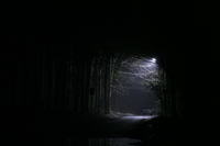 FSO polonez - Czy alternator wytrzyma pracę z UPS-em?