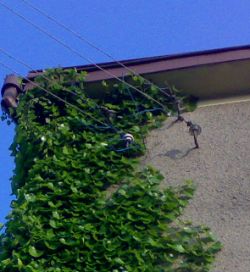 Warunki przyłącza Tauron: przewód AsXSn 4x16 mm2, 17m, uchwyt, ZK1e-1P-B, 50A