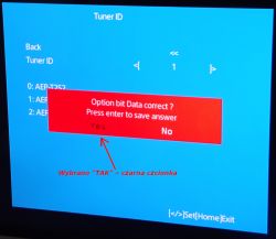 LCD SONY - przeróbka na DVB-T2 w serii RE/WE (2017 r.)