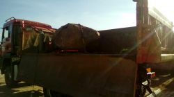 Volkswagen Golf - Sprzedaż auta w nietypowej wersji za granicą, czy to ma sens?