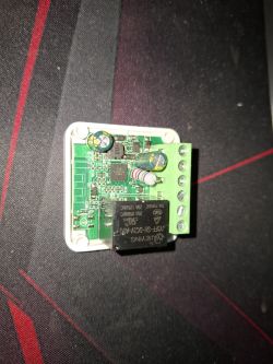 Electromagnetic relay module with screw terminals on a PCB