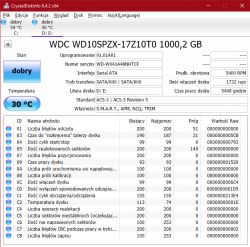 MSI GV72 8RD - wyłącza się z grayscreen/bluescreen, uszkodzenia systemu