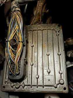 ford fiesta fusion 2008/1.25 - błąd czujnika położenia wału - jak wypiąć złącze 