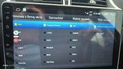 Nieaktywny wyświetlacz główny w multimedialnej stacji Peugeot 307 SW - jak skonfigurować Can Bus?