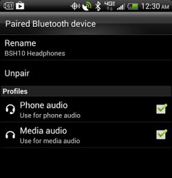 Parrot Mki9100 w Passacie B6 - odtwarzanie rozmów działa, brak dźwięku z muzyki