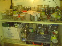 KONKURS!!! - warsztat elektrodowicza - ZAKOŃCZONY!