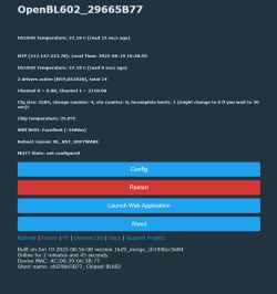 Why is BL602 LFS (LittleFS) missing in the current build and can it be implemented?