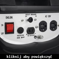 Identify Nest in Picture: Suitable Plug for 12V Socket with Flat Angled Pins in Generator