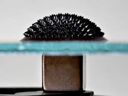 Zdjęcie przedstawia ferrofluid ukształtowany w stożkowate kolce na powierzchni szkła, przyciągnięty przez magnes poniżej.