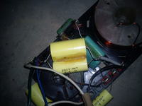 Tonsil Menuet 200 - cewka, zwrotnica