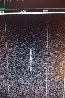 RTL-SDR - an SDR receiver from a cheap DVB-T tuner on a USB connector