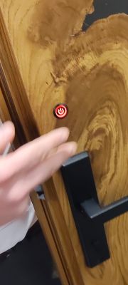 Two-colour LED switch (green/red) for controlling the door opener