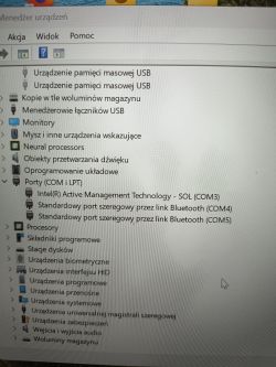 Zrzut ekranu menedżera urządzeń z rozwiniętą sekcją portów COM.