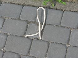 Jak połączyć kabel YDY z YKY w ziemi dla zasilania altany?