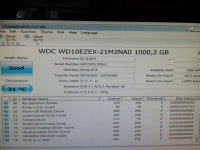 Windows nie wykrywa dysku HDD WDC WD10EZEX-21M2NA0 po restarcie systemu