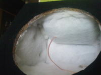 Jaki głośnik do skrzyni aktywnej. Sugestie mile widziane