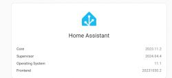 Screenshot of Home Assistant version information.