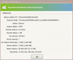 Zrzut ekranu z programu IM-Magic Partition Resizer pokazujący właściwości partycji na pendrivie.