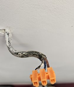 Trzy przewody elektryczne (niebieski, żółto-zielony, brązowy) z sufitu podłączone do trójzłączki.