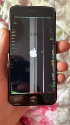 Jak ustawić Autoklaw VL-866, by nie uszkadzał LCD?